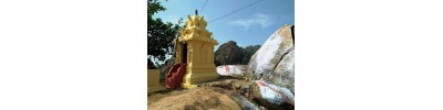  ஐயன்மலை - நாகர்கோயில் தமிழ்நாடு